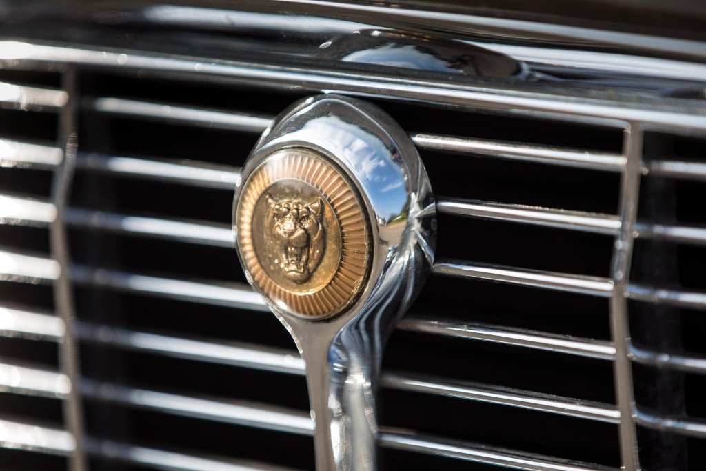 Jaguar badge