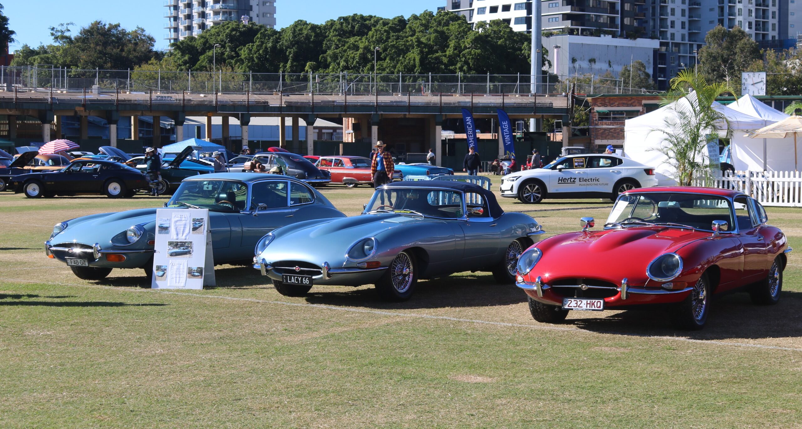 Jaguar E-Types at RACQ MotorFest