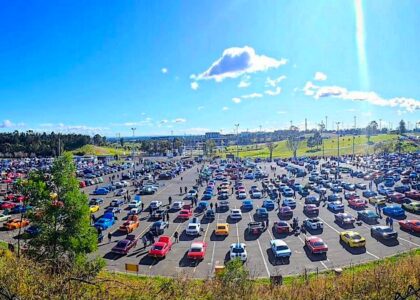 NSW All Ford Day