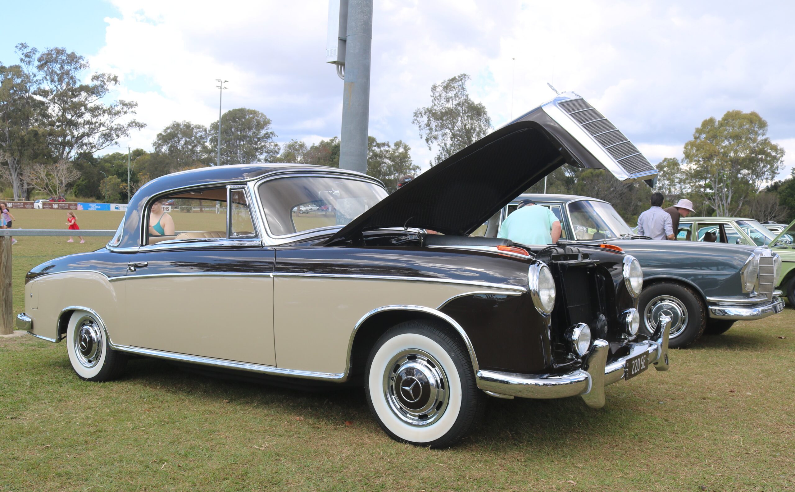 Mercedes-Benz Club of Queensland’s 50th Anniversary Concours d’Elegance