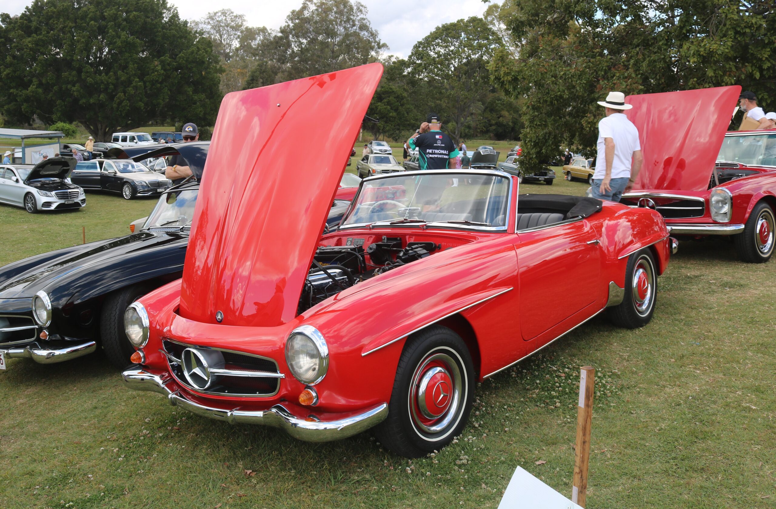 Mercedes-Benz Club of Queensland’s 50th Anniversary Concours d’Elegance