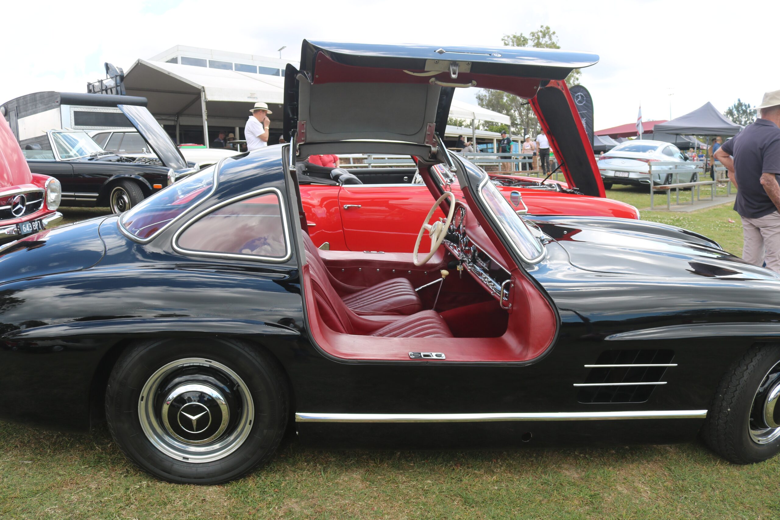 Mercedes-Benz Club of Queensland’s 50th Anniversary Concours d’Elegance