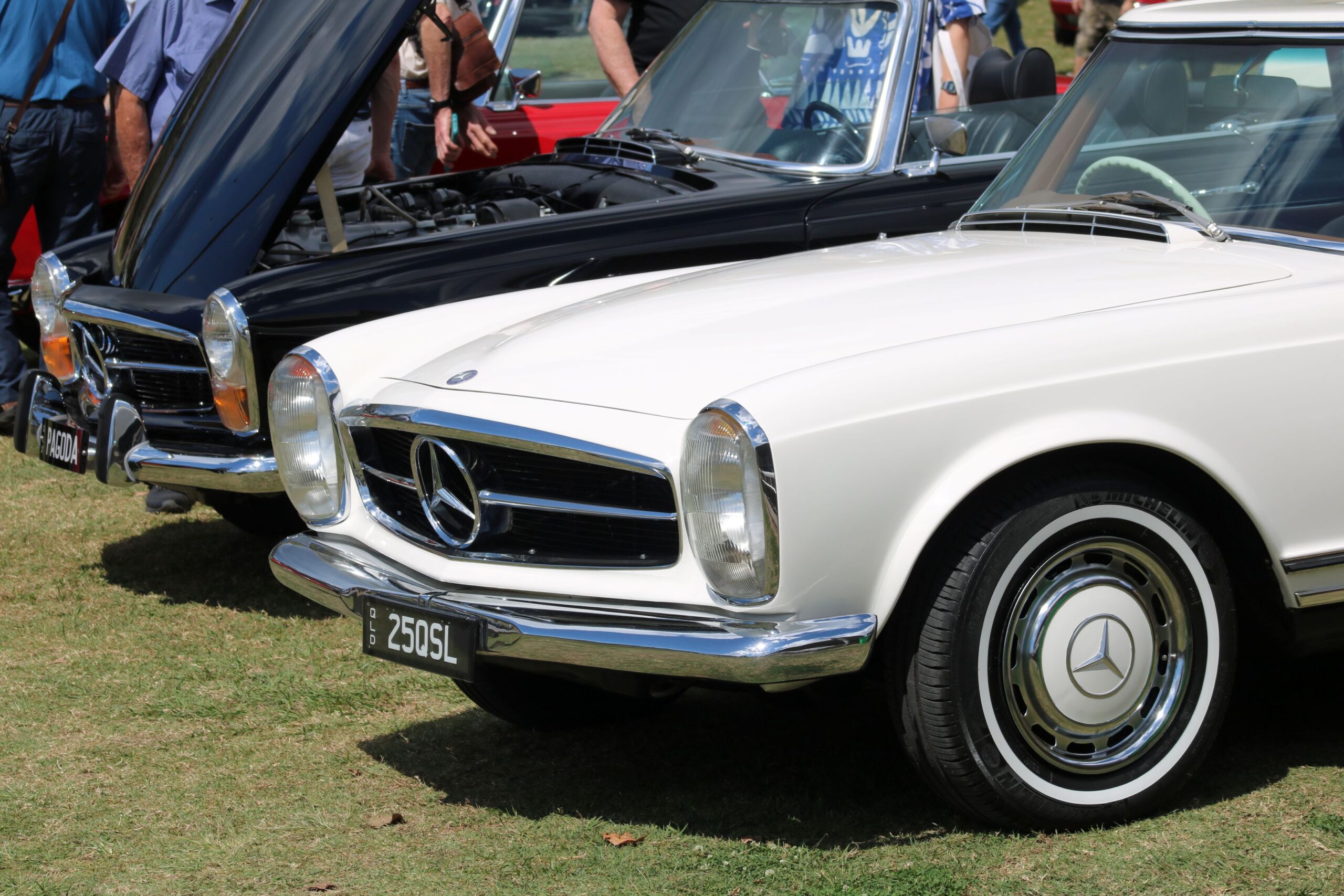 Mercedes-Benz Club of Queensland’s 50th Anniversary Concours d’Elegance