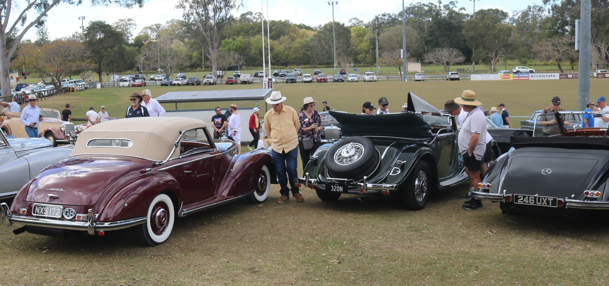 Mercedes-Benz Club of Queensland’s 50th Anniversary Concours d’Elegance