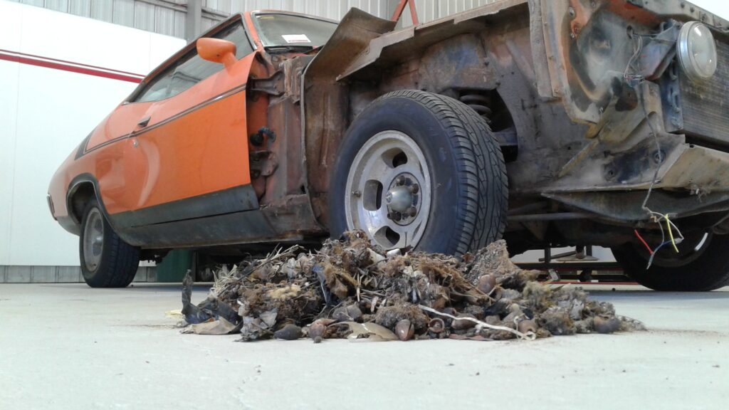 Finch Restorations Ford Falcon XA GT Chicken Coupe