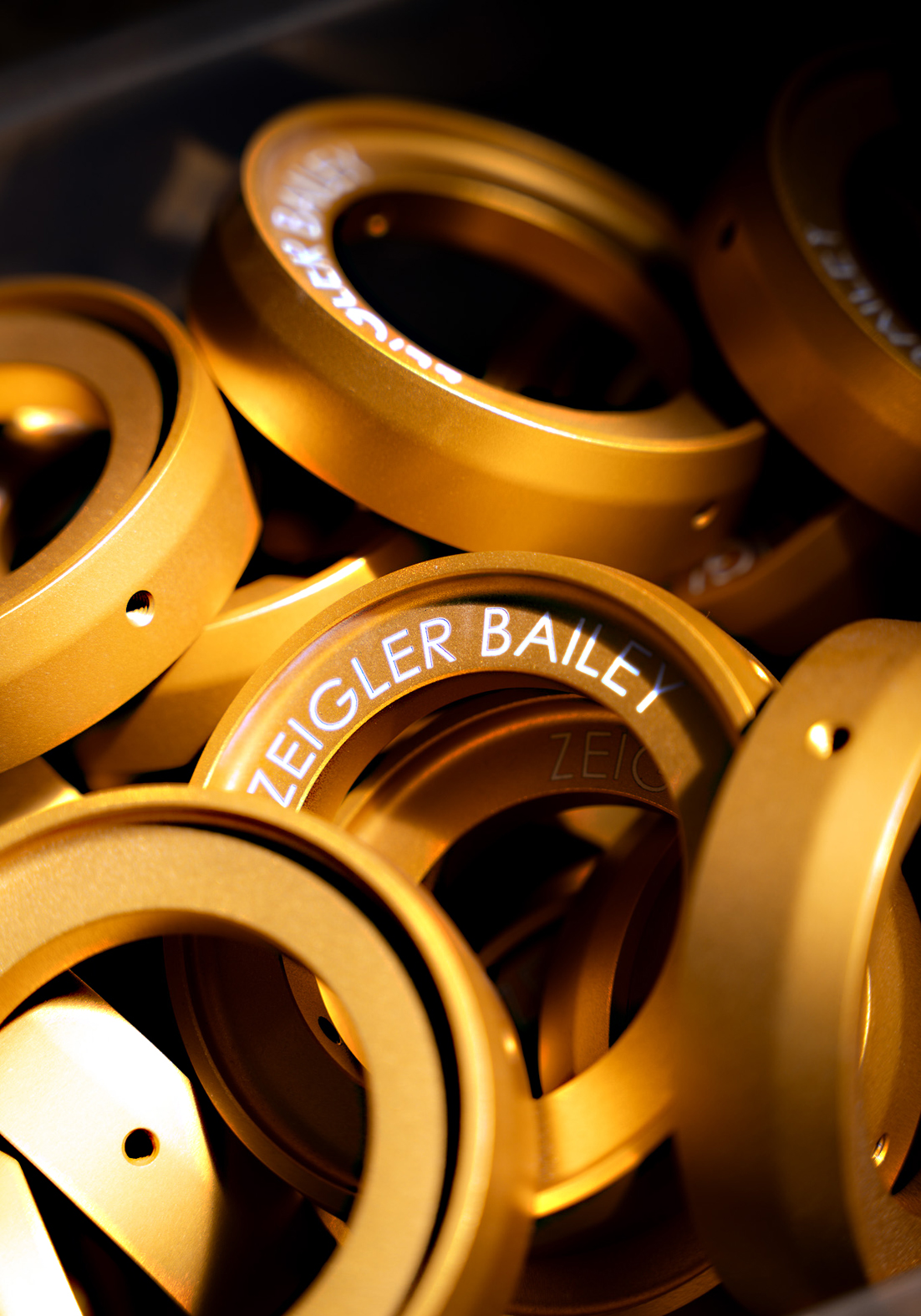 Zeigler/Bailey workshop