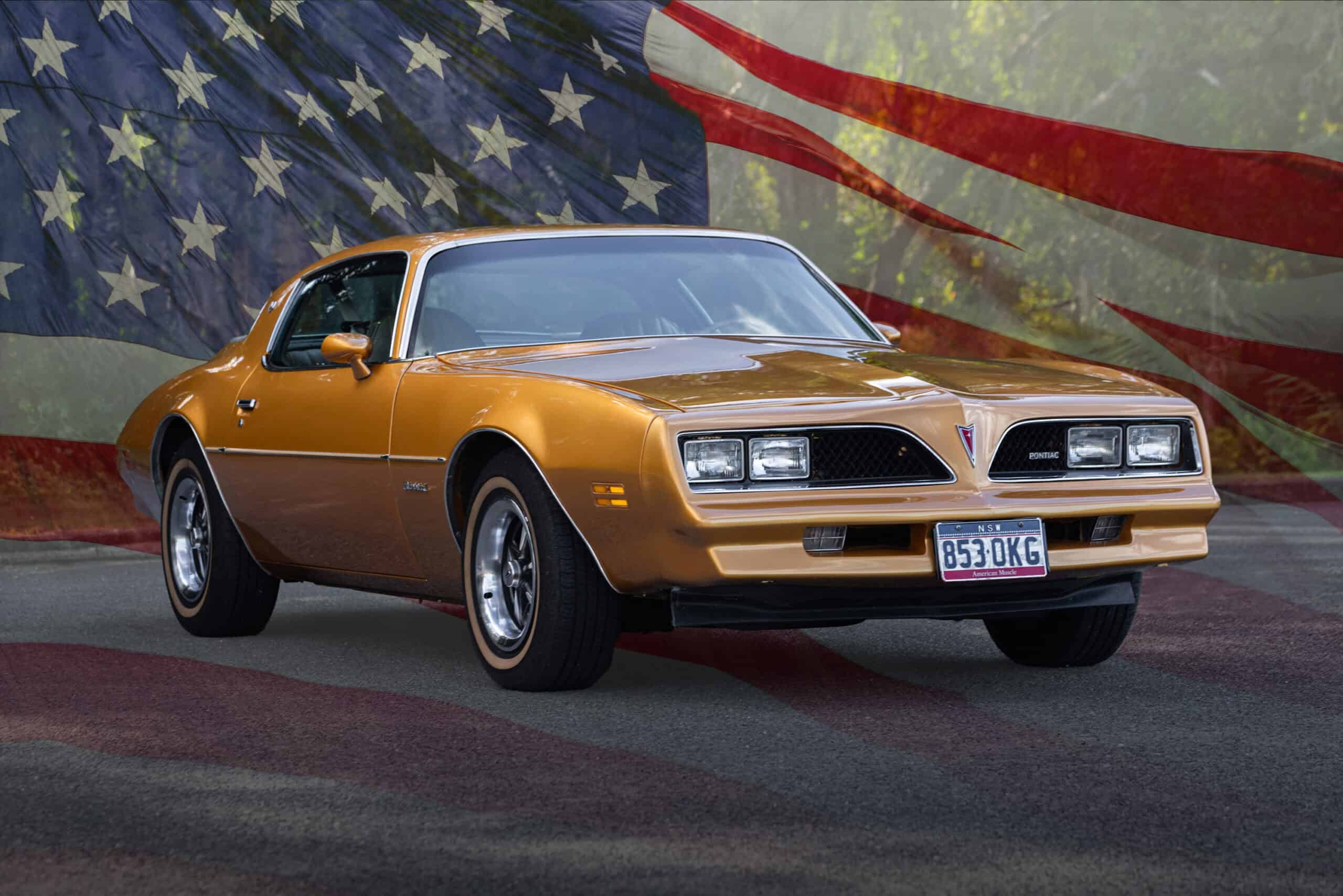 1978 Pontiac Firebird with USA flag in background